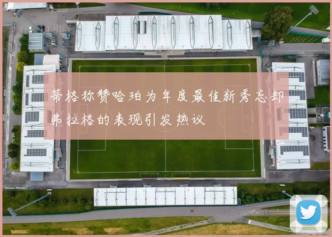 蒂格称赞哈珀为年度最佳新秀忘却弗拉格的表现引发热议